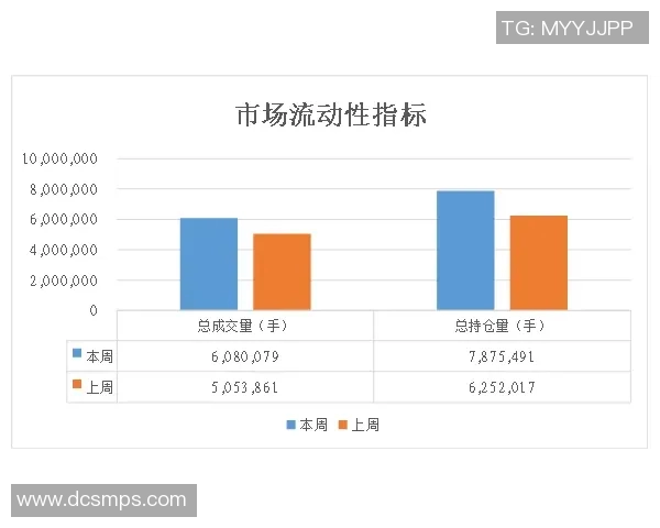 深入解析杭州网球队技术表现的数据分析与趋势研究