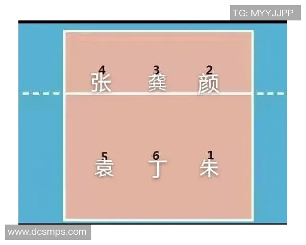 赛后分析：上海排球队与杭州排球队灵活性对比及战术探讨