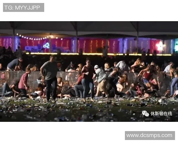 拉波尔特的崛起与影响力探讨：从历史到现代的深度分析