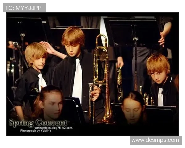 斯通斯：探索摇滚传奇背后的音乐魅力与文化影响力