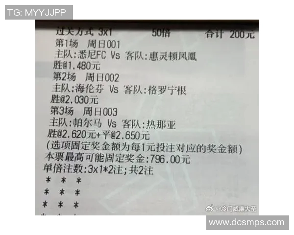 球探惠灵顿对阵悉尼FC精彩对决分析与赛前预测 球探惠灵顿对阵悉尼FC精彩对决分析与赛前预测