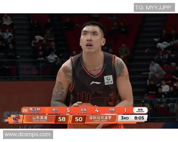 陶汉林：从篮球新星到职业生涯巅峰的奋斗历程与成长故事